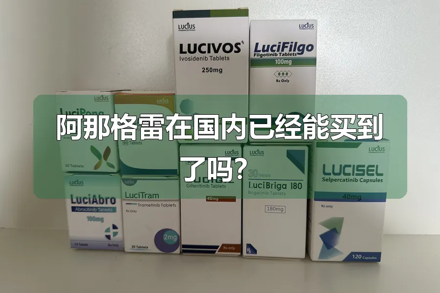 阿那格雷在国内已经能买到了吗？